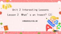 小学英语川教版五年级上册Lesson 2 What's an insect?完美版ppt课件