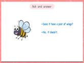 川教版英语五上 Unit 2 Lesson 2 《What's an Insect》 第二课时 课件+教案+练习