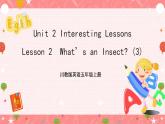 川教版英语五上 Unit 2 Lesson 2 《What's an Insect》 第三课时 课件+教案+习题