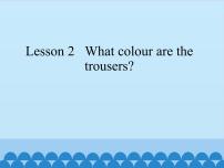 英语Lesson 2 What colour are the trousers?说课ppt课件