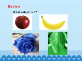 科普版（三年级起点）小学英语四年级下册  Lesson 2  What colour are the trousers  课件2