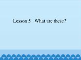 科普版（三年级起点）小学英语四年级下册 Lesson 5  What are these  课件