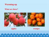 科普版（三年级起点）小学英语四年级下册 Lesson 5  What are these  课件