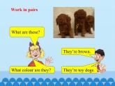 科普版（三年级起点）小学英语四年级下册  Lesson 6   Revision   课件