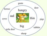 科普版（三年级起点）小学英语四年级下册  Lesson 6   Revision   课件1