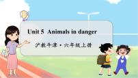 小学英语沪教牛津版(六三制三起)六年级上册Unit 5 Animals in danger教学ppt课件