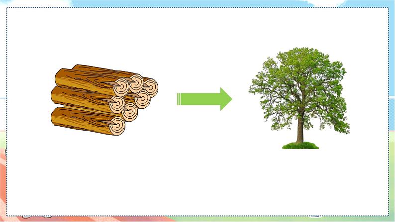 Unit 11 Trees第4页