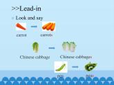 科普版（三年级起点）小学英语五年级上册  Lesson 8   Would you like some potatoes   课件1