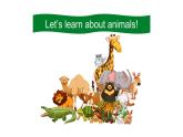 Unit 3 Animal World 第一課時課件+音頻