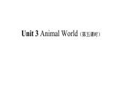 Unit 3 Animal World第五课时课件+音频