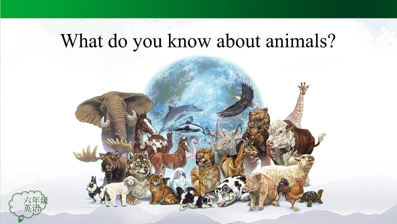 人教版（新起点）六年级上册 Revision 2 Interesting Facts About Animals  课件03