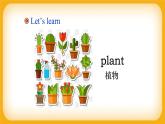小學英語 四年級上冊 Module 5 Unit 2 I wore warm clothes （課件）外研版一起