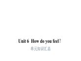 PEP版小學英語六年級上冊U6-單元知識匯總課件
