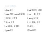 PEP版小學英語六年級上冊U6-單元知識匯總課件