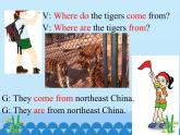 科普版（三年級起點）小學英語六年級下冊  Lesson 7   Where do the tigers come from   課件