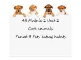 牛津上海版（試用本）小學(xué)四年級(jí)英語下冊(cè) Unit 2 Unit 2 Cute animals    課件1