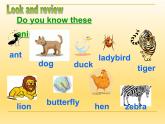 牛津上海版（試用本）小學(xué)五年級(jí)英語下冊(cè) Module 1 Unit 2 Watch it grow!  課件