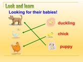 牛津上海版（試用本）小學(xué)五年級(jí)英語下冊(cè) Module 1 Unit 2 Watch it grow!  課件
