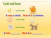 牛津上海版（試用本）小學(xué)五年級(jí)英語下冊(cè) Module 1 Unit 2 Watch it grow!  課件