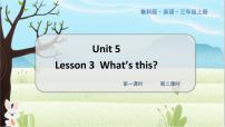 英语三年级上册Lesson 3 What's This?教学ppt课件