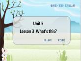 鲁科三上  Unit 5-Lesson3 教学课件