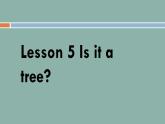 接力版（三年级起点）小学英语三年级上册 Lesson 5   Is it a tree？   课件1