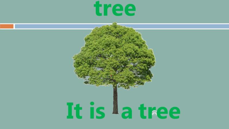 接力版（三年级起点）小学英语三年级上册 Lesson 5   Is it a tree？   课件103