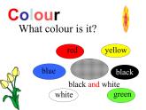 接力版（三年级起点）小学英语三年级下册  Lesson 6   What colour is it   课件2