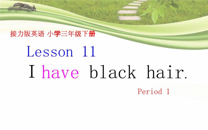 接力版（三年级起点）小学英语三年级下册  Lesson 11   I have black hair.   课件01