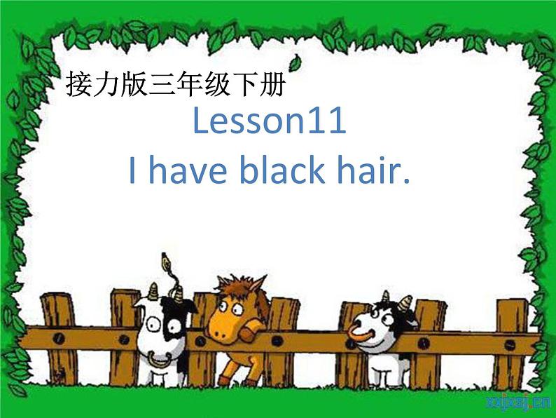 接力版（三年级起点）小学英语三年级下册  Lesson 11   I have black hair.   课件101