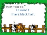 接力版（三年级起点）小学英语三年级下册  Lesson 11   I have black hair.   课件1