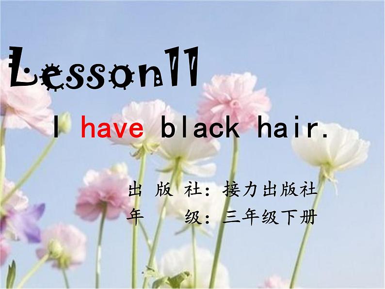 接力版（三年级起点）小学英语三年级下册  Lesson 11   I have black hair.   课件201