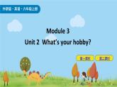 外研版（三起）小学英语六年级上册Module 3课件+课时练习附答案