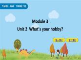 外研版（三起）小学英语六年级上册Module 3课件+课时练习附答案