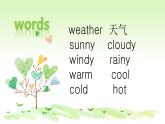 接力版（三年级起点）小学英语四年级上册  Lesson 8   What's the weather like？  课件2