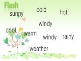 接力版（三年级起点）小学英语四年级上册  Lesson 8   What's the weather like？  课件2