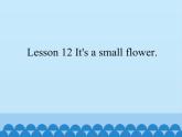 接力版（三年级起点）小学英语四年级上册  Lesson 12   It's a small flower.  课件