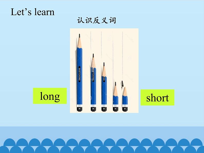 接力版（三年级起点）小学英语四年级上册  Lesson 12   It's a small flower.  课件03