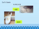 接力版（三年级起点）小学英语四年级上册  Lesson 12   It's a small flower.  课件
