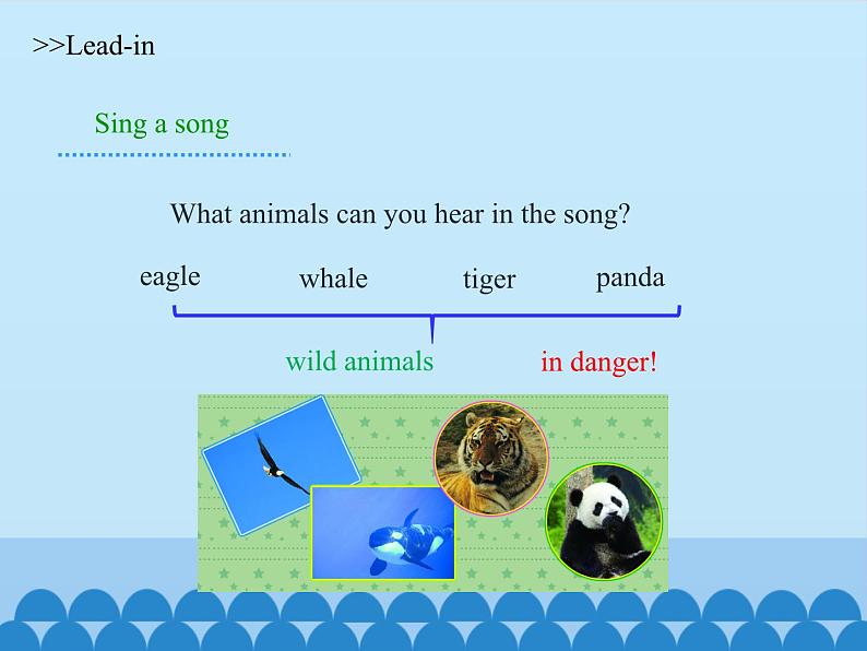 沪教版（六三制三起）小学六年级英语上册 Module 2 Unit  5  Animals in danger 课件04