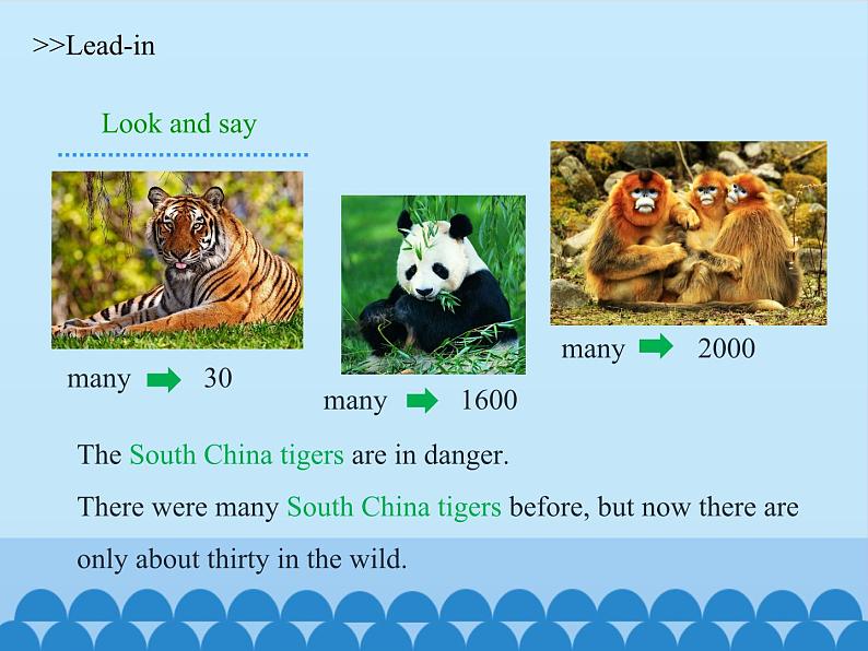 沪教版（六三制三起）小学六年级英语上册 Module 2 Unit  5  Animals in danger 课件103