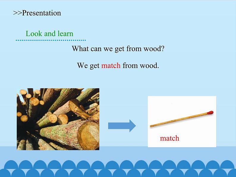 沪教版（六三制三起）小学六年级英语上册 Module 4 Unit  11  Trees  课件04