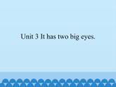 湘鲁版（三年级起点）小学英语三年级上册  Unit 3 It has two big eyes.   课件