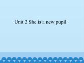 湘鲁版（三年级起点）小学英语三年级下册  Unit 2 She is a new pupil.  Section A 课件