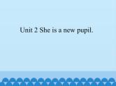 湘鲁版（三年级起点）小学英语三年级下册  Unit 2 She is a new pupil.  Section A 课件