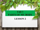 清华大学版小学英语一年级上册  UNIT 1   PARTS OF MY BODY Lesson 2   课件