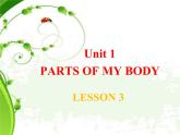 清华大学版小学英语一年级上册  UNIT 1   PARTS OF MY BODY Lesson 3   课件