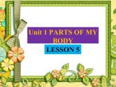 清华大学版小学英语一年级上册  UNIT 1   PARTS OF MY BODY Lesson 5   课件