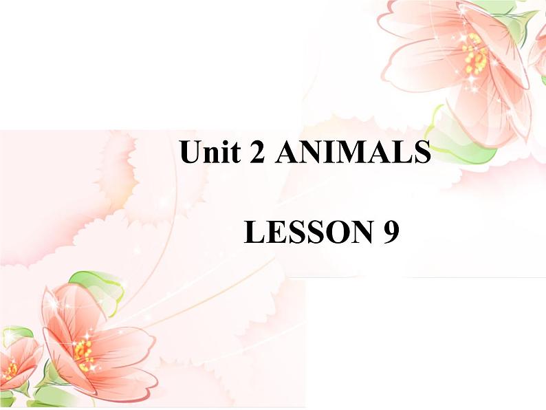 清华大学版小学英语一年级上册  UNIT 2   ANIMALS Lesson 9   课件第1页