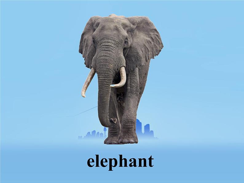 清华大学版小学英语一年级上册  UNIT 2   ANIMALS Lesson 12   课件02